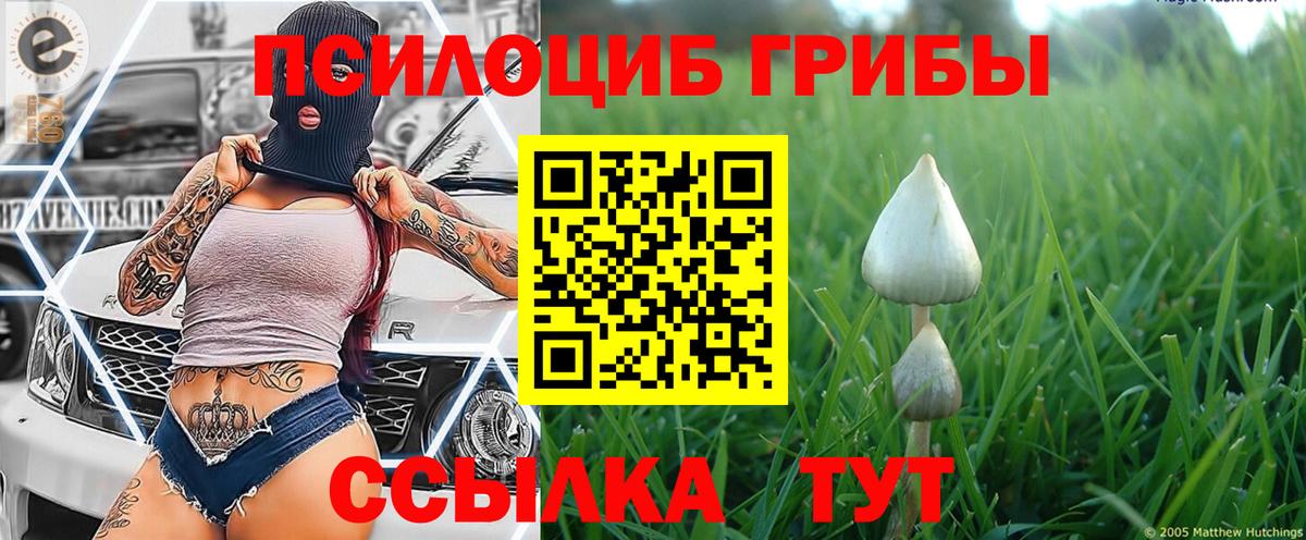 Галлюциногенные грибы MAGIC MUSHROOMS Новокуйбышевск