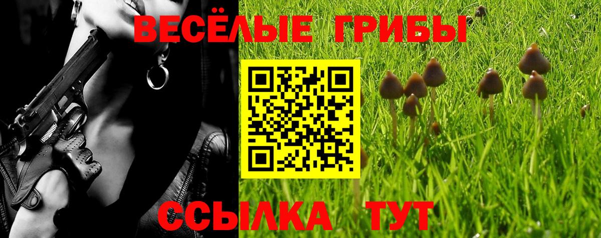 Псилоцибиновые грибы Magic Shrooms  Галлюциногенные грибы Psilocybine cubensis  Новокуйбышевск  Вход с VPN 